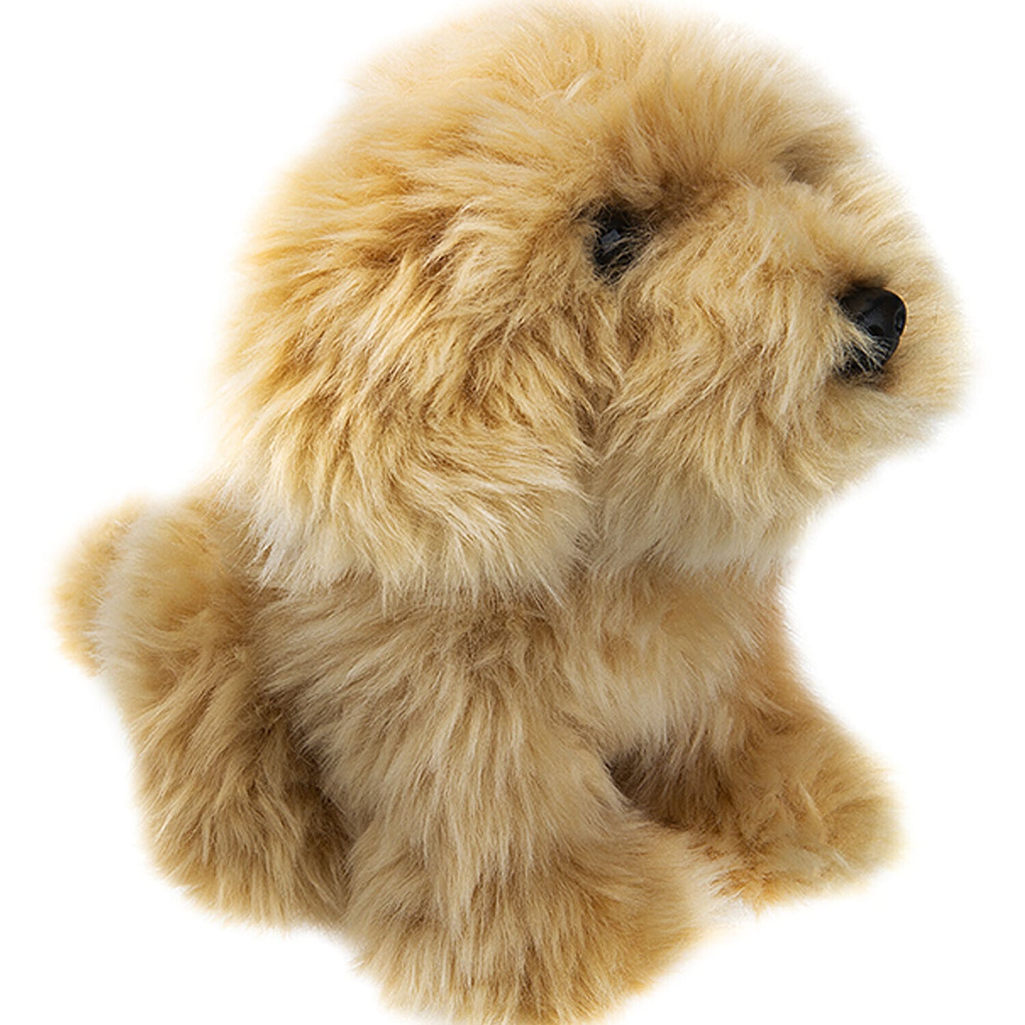 Premium Doodle Dog Plush (30cm) - Cockapoo, Cavapoo, Labradoodle
