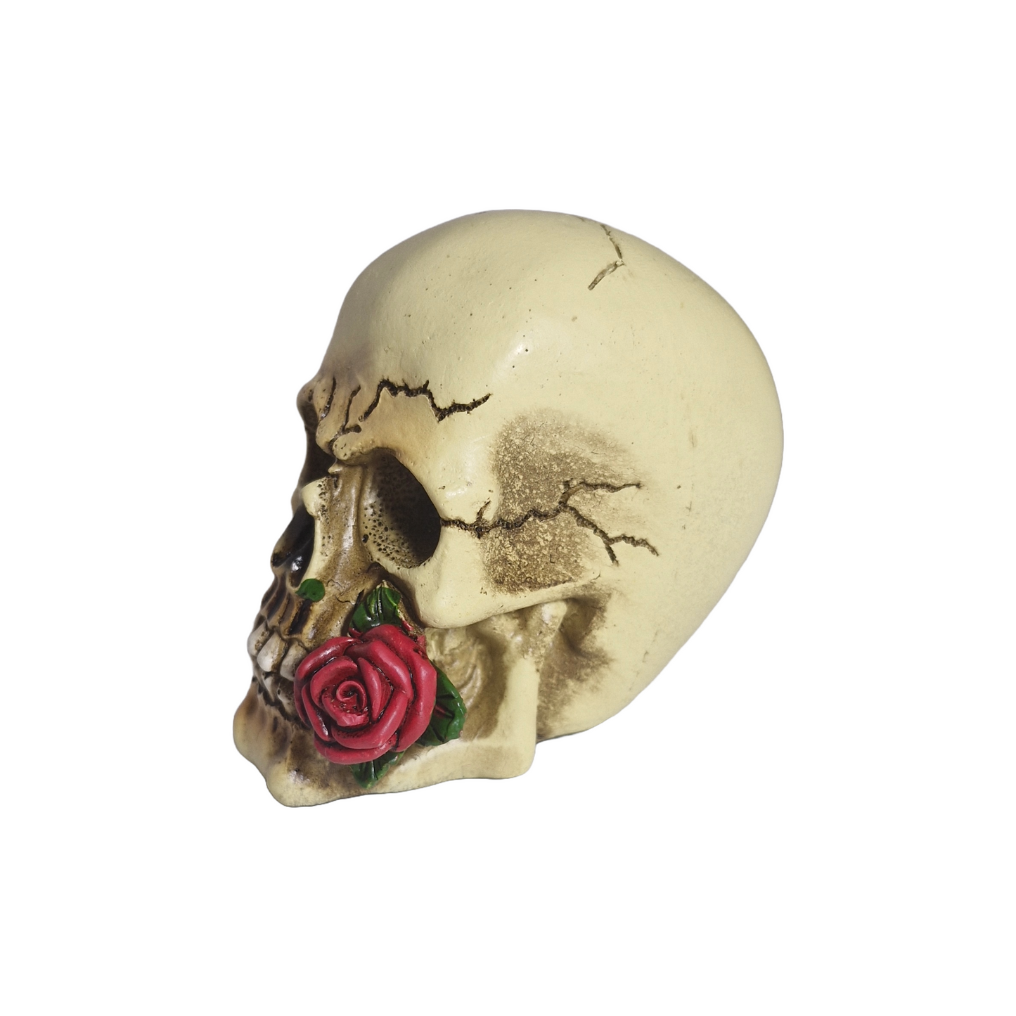 Romeo Skull Ornaments Rogues 9cm