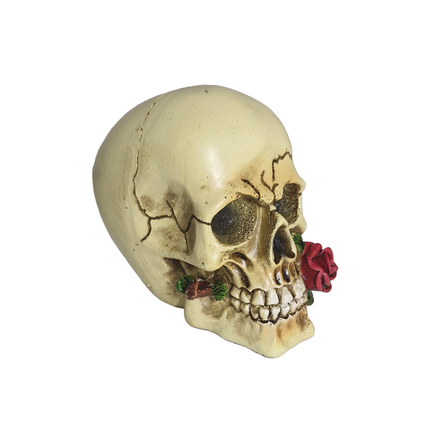 Romeo Skull Ornaments Rogues 9cm