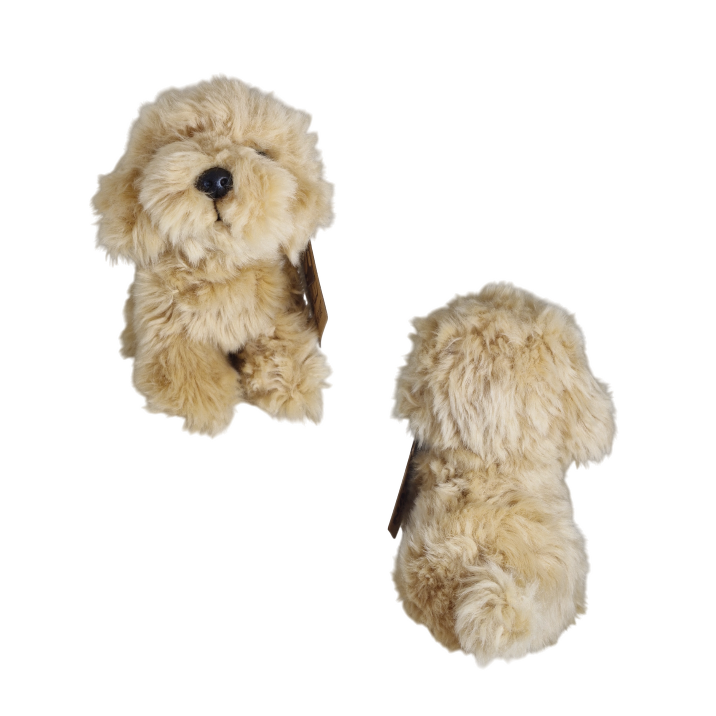Natural World Doodle Dog Plush