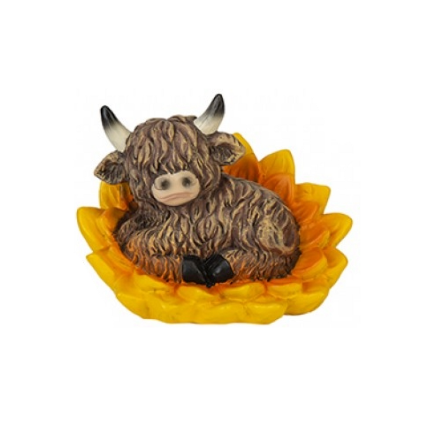 Highland Cow in Flower