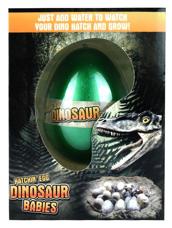 12 Dinosaur Growing Hatching Eggs