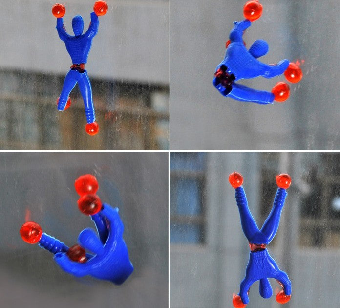 48 Wall Walkers | Window Tumblers
