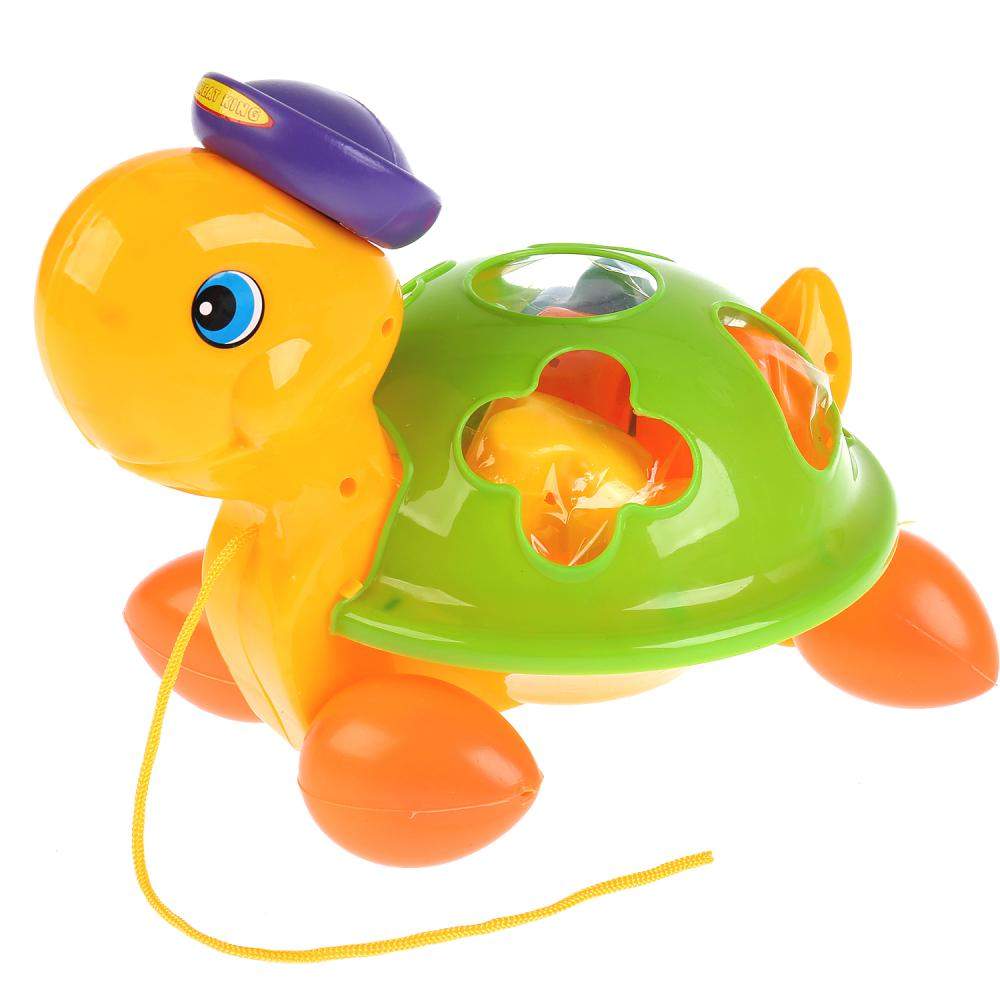 Pull Along Turtle Shape Sorter