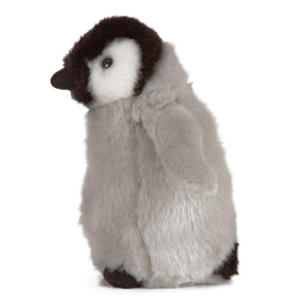 Living Nature - Penguin Chick