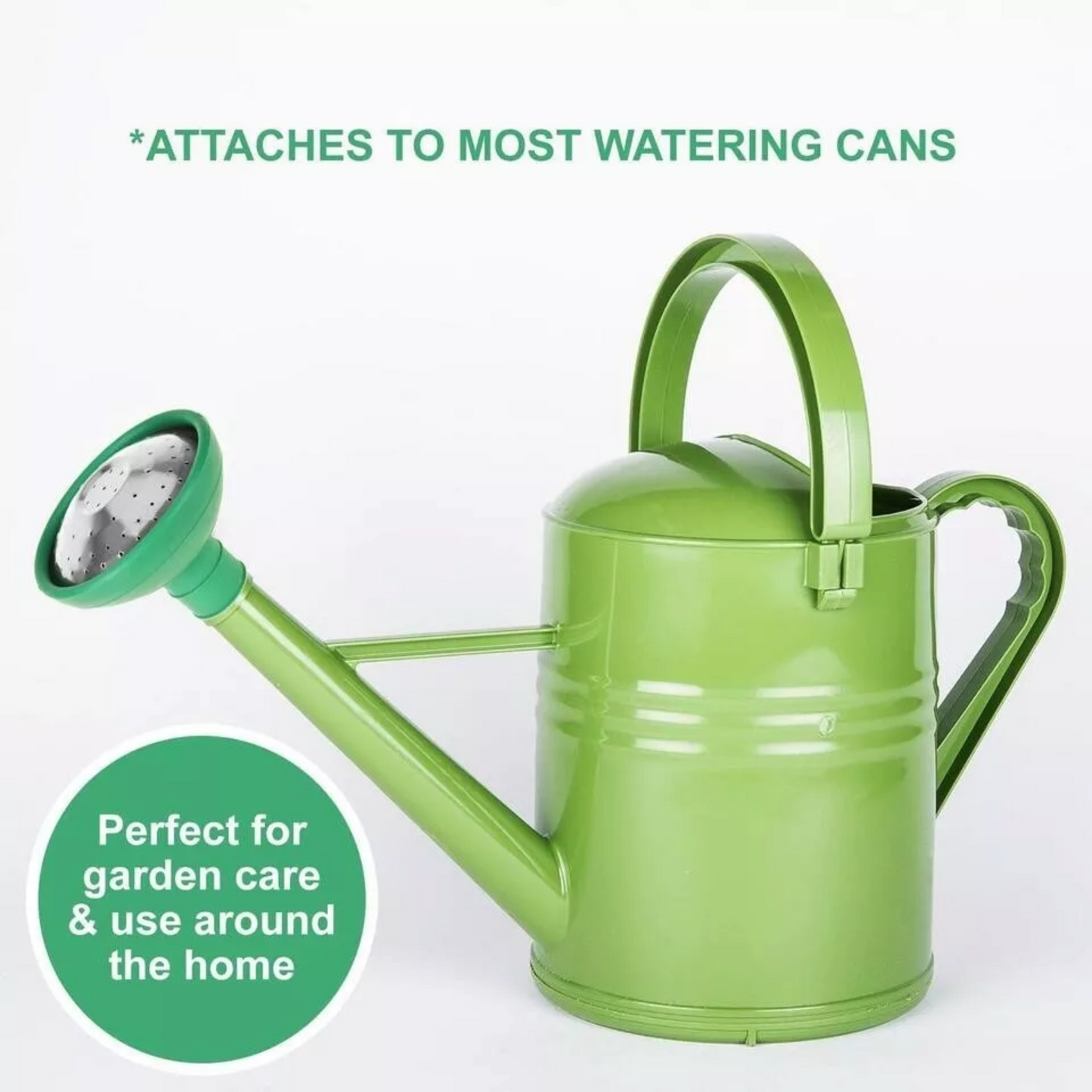 Watering Can Rose