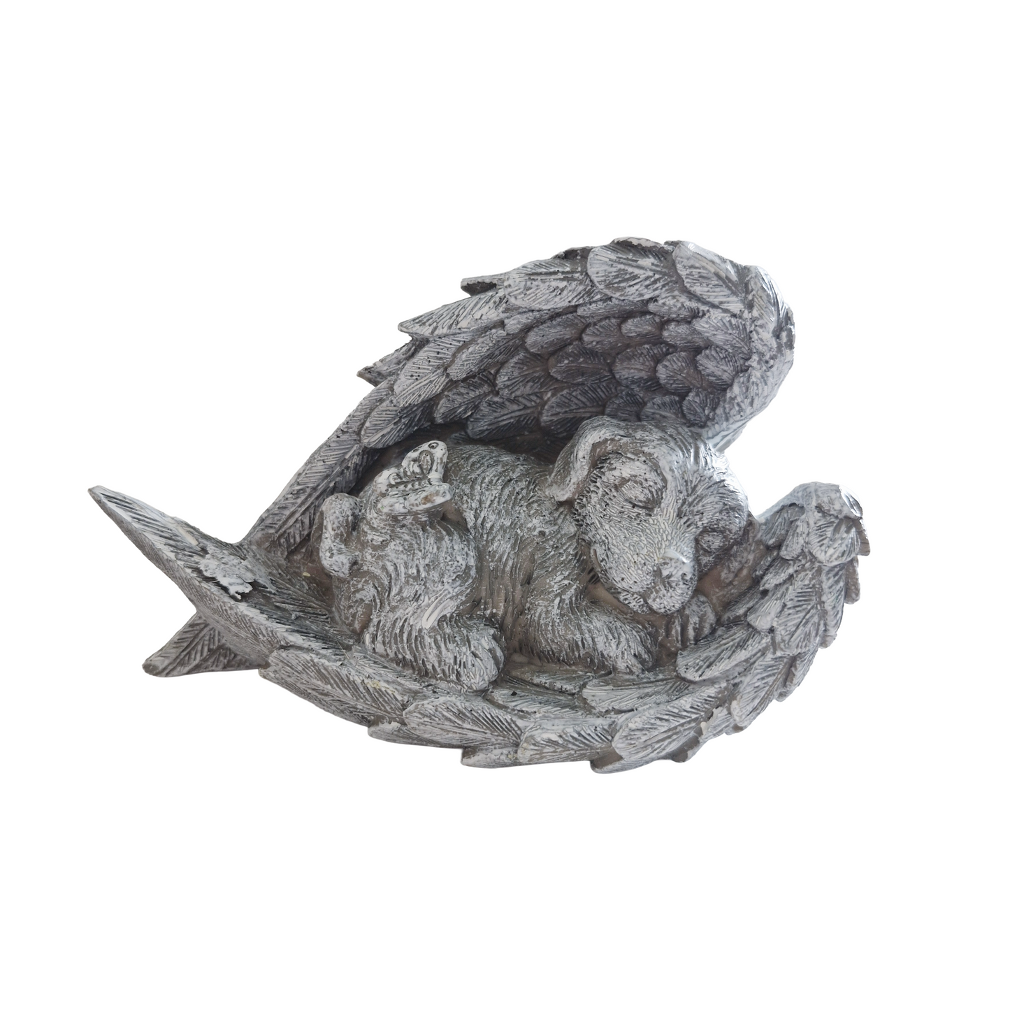 Dog & Cat Angel Wings