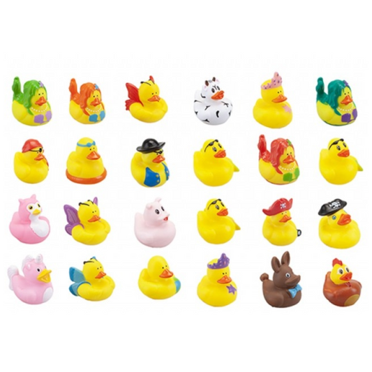 Assorted Rubber Ducks